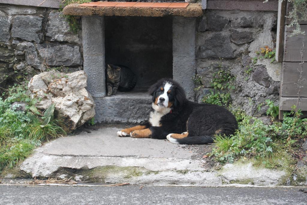Planitzhof Villa Castelrotto Dış mekan fotoğraf